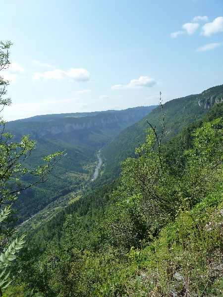 ../Images/2012-07-10-10h09m43 .jpg